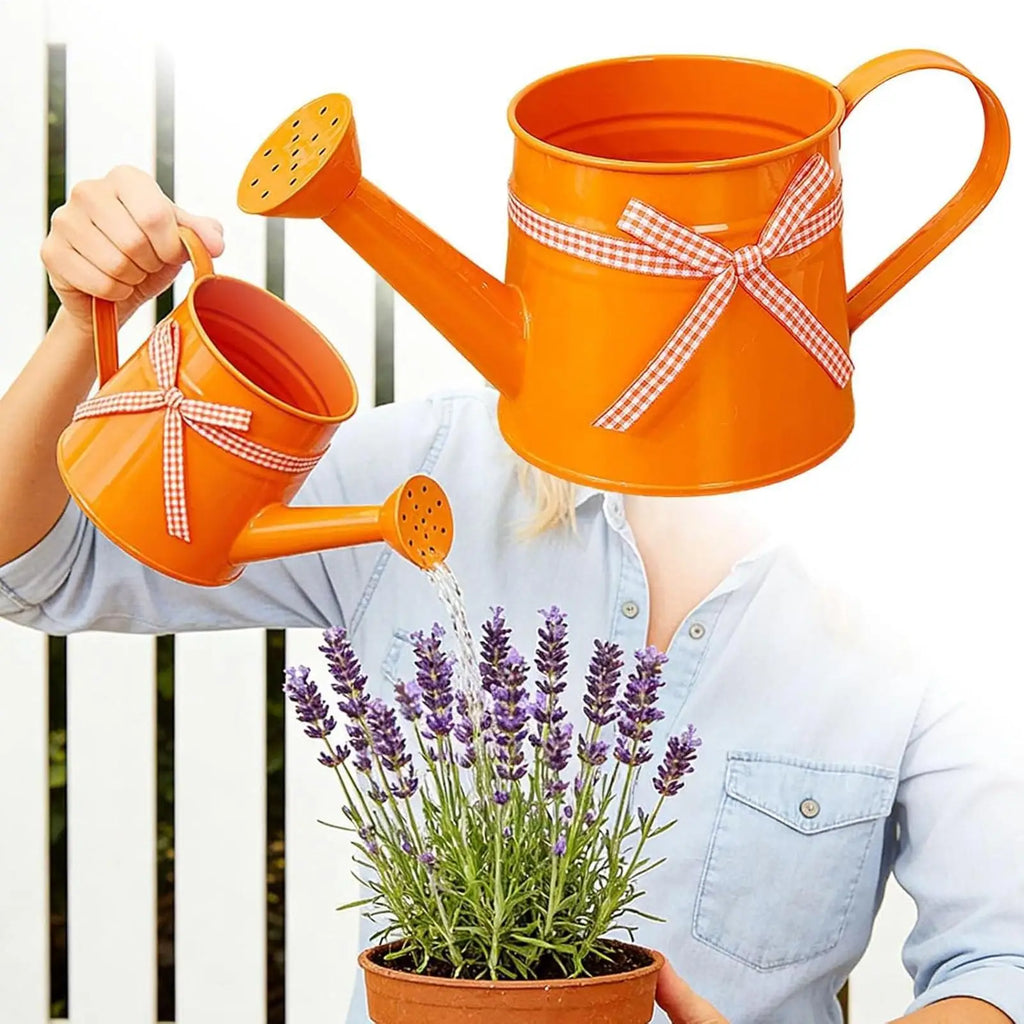 Indoor Watering Can 1L Metal Pot with Sprinkler Head and Gingham Ribbon Modern Plant Watering Cans for Home Office Balcony