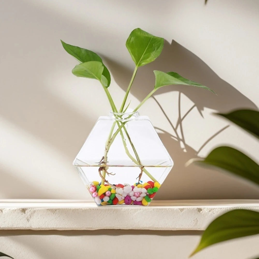 Wall Vases For Plants Indoor Transparent Design Hexagon-Vase Planters For Home/Office