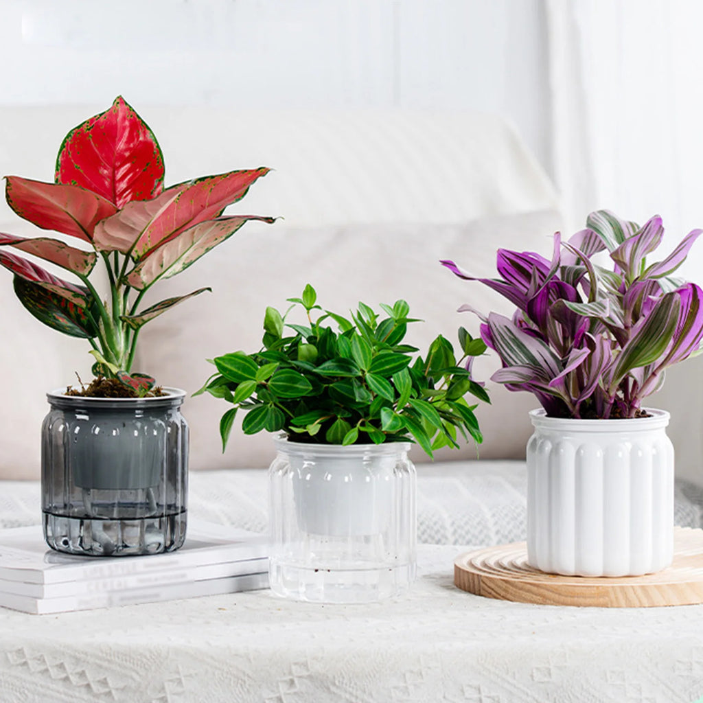 Modern Self-Watering Planters Indoor Translucent Stylish Minimalist Flower Container Home Decor Office Desk Plants Vases Gift
