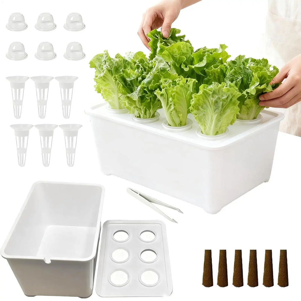 Indoor Hydroponic Planting Kit Complete Seedling Box for Growing Lettuce, Flowers on Balcony, in Apartments & Hotels