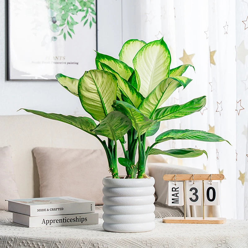 【S】Planters Indoor Plants Pots Indoor Office For Flower Multipurpose Planters For And Vegetable For Plants Pot High