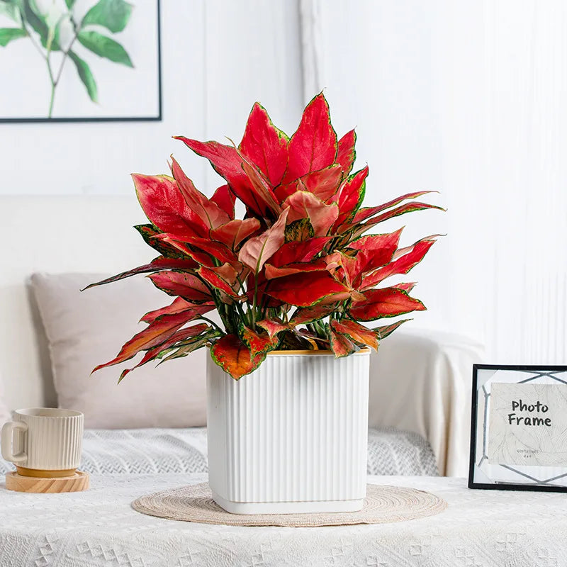 Self-Watering Flower Pot for Lazy People Nordic Style Vertical Striped Square Thickened Plastic Resin Indoor Balcony Green Plant