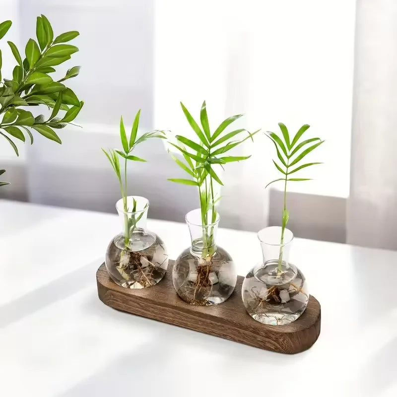 Glass Terrarium for Plants with Wooden Tray – For indoor propagation hydroponic vase，Desktop Home Office Decoration