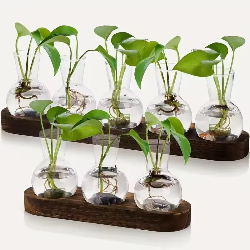 Glass Terrarium for Plants with Wooden Tray – For indoor propagation hydroponic vase，Desktop Home Office Decoration