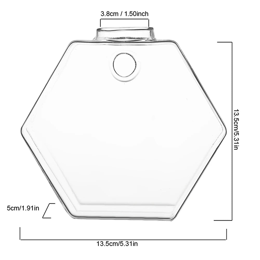 Wall Vases For Plants Indoor Transparent Design Hexagon-Vase Planters For Home/Office