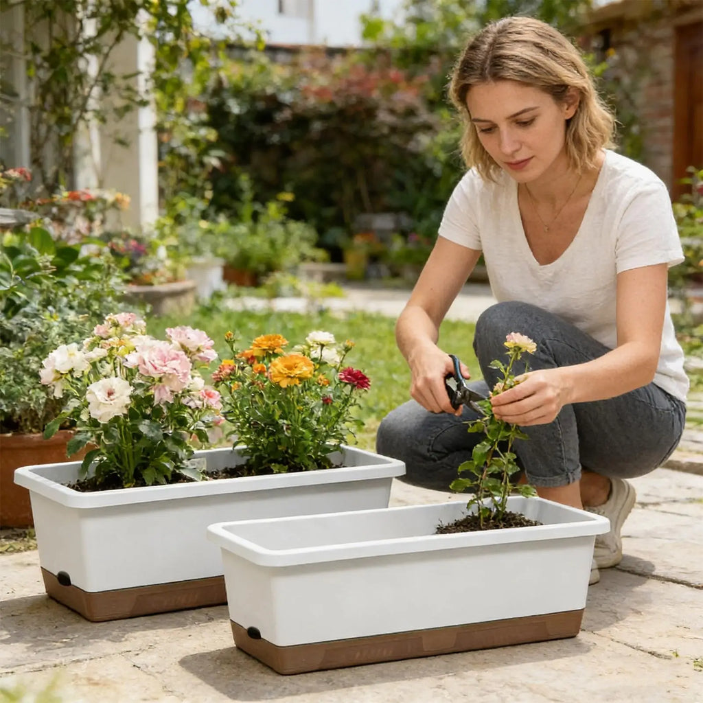 Self-watering planter for indoor and balcony vegetable growing, Suitable for cuttings, seedlings, herbs, African violets