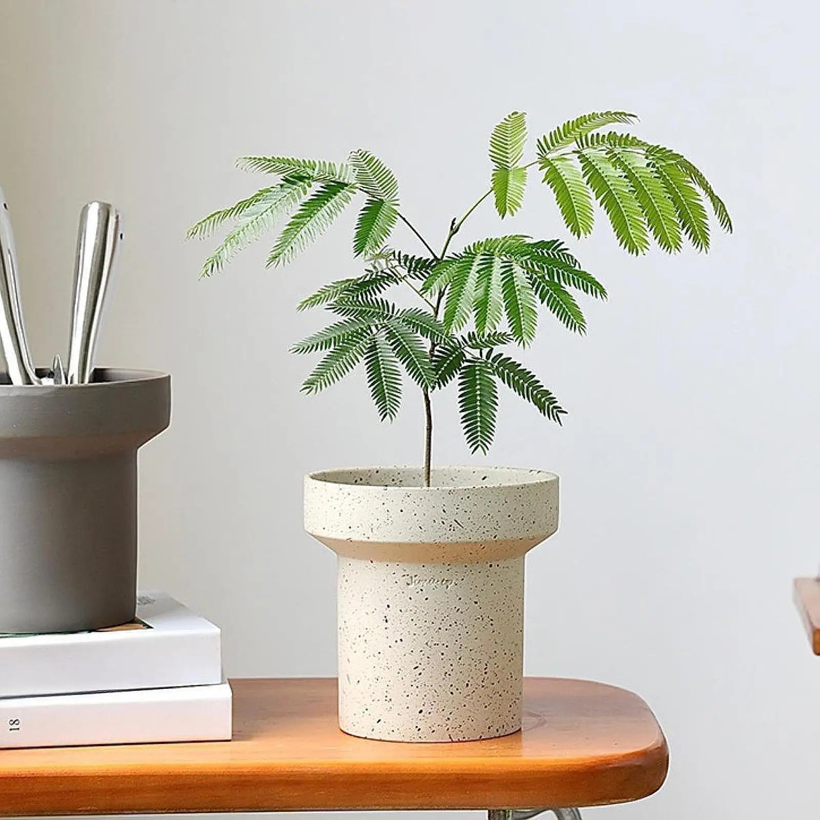 Flowerpot ,Delicate Planter, Plant Container ,Modern Flower Pot ,Decorative Vase for Dinner Indoor Plants Dried Flower