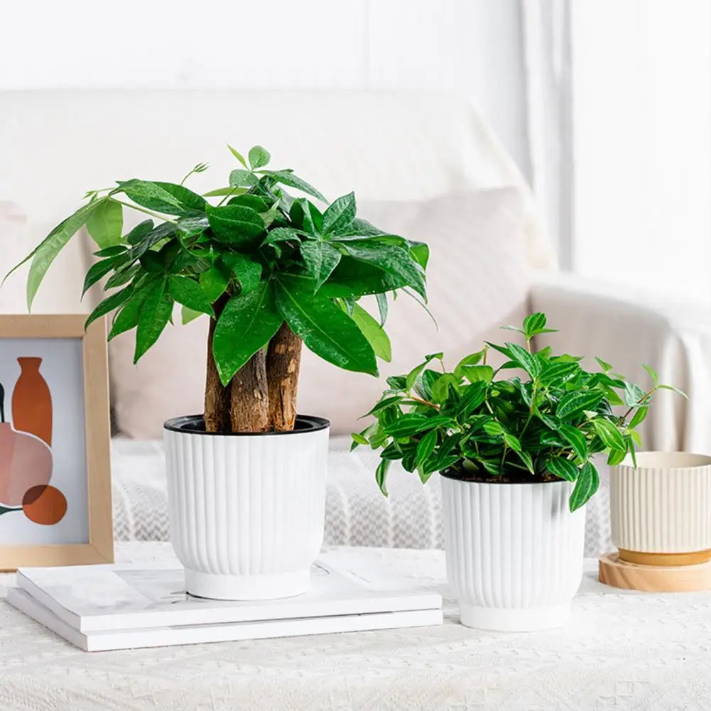 Indoor Self Watering Pot Ventilated Basin Planter Self Watering Indoor Plant Pots with Reservoir Rope Modern Plastic for Herbs