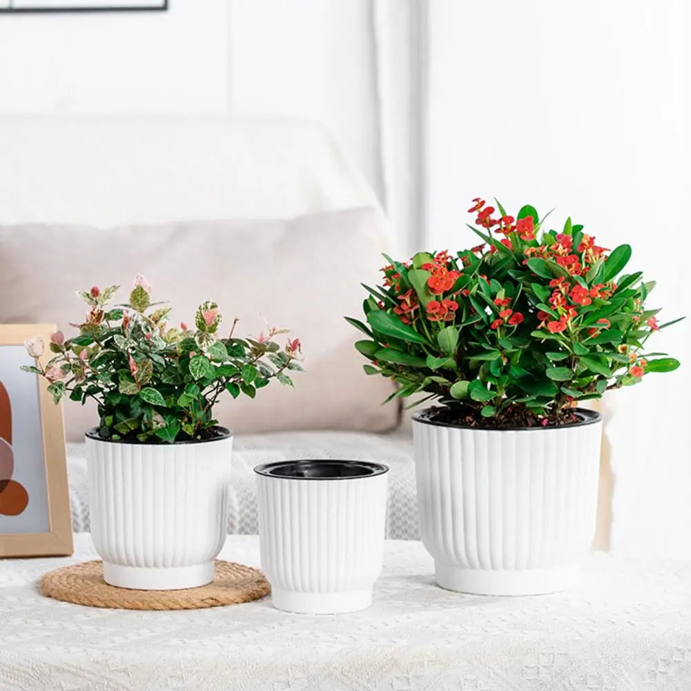 Indoor Self Watering Pot Ventilated Basin Planter Self Watering Indoor Plant Pots with Reservoir Rope Modern Plastic for Herbs