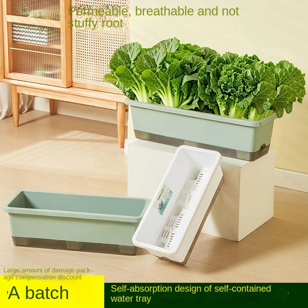 Self-watering planter for indoor and balcony vegetable growing, Suitable for cuttings, seedlings, herbs, African violets