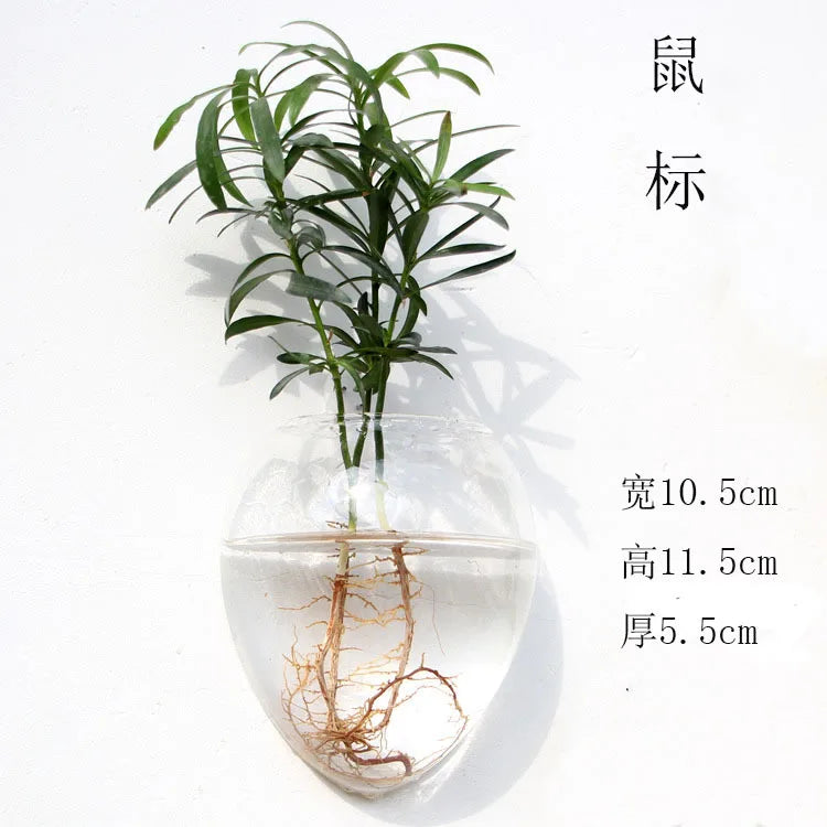 Wall Vases For Plants Indoor Transparent Design Hexagon-Vase Planters For Home/Office