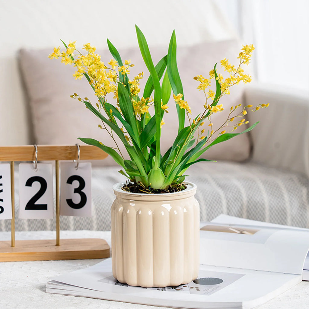 Modern Self-Watering Planters Indoor Translucent Stylish Minimalist Flower Container Home Decor Office Desk Plants Vases Gift