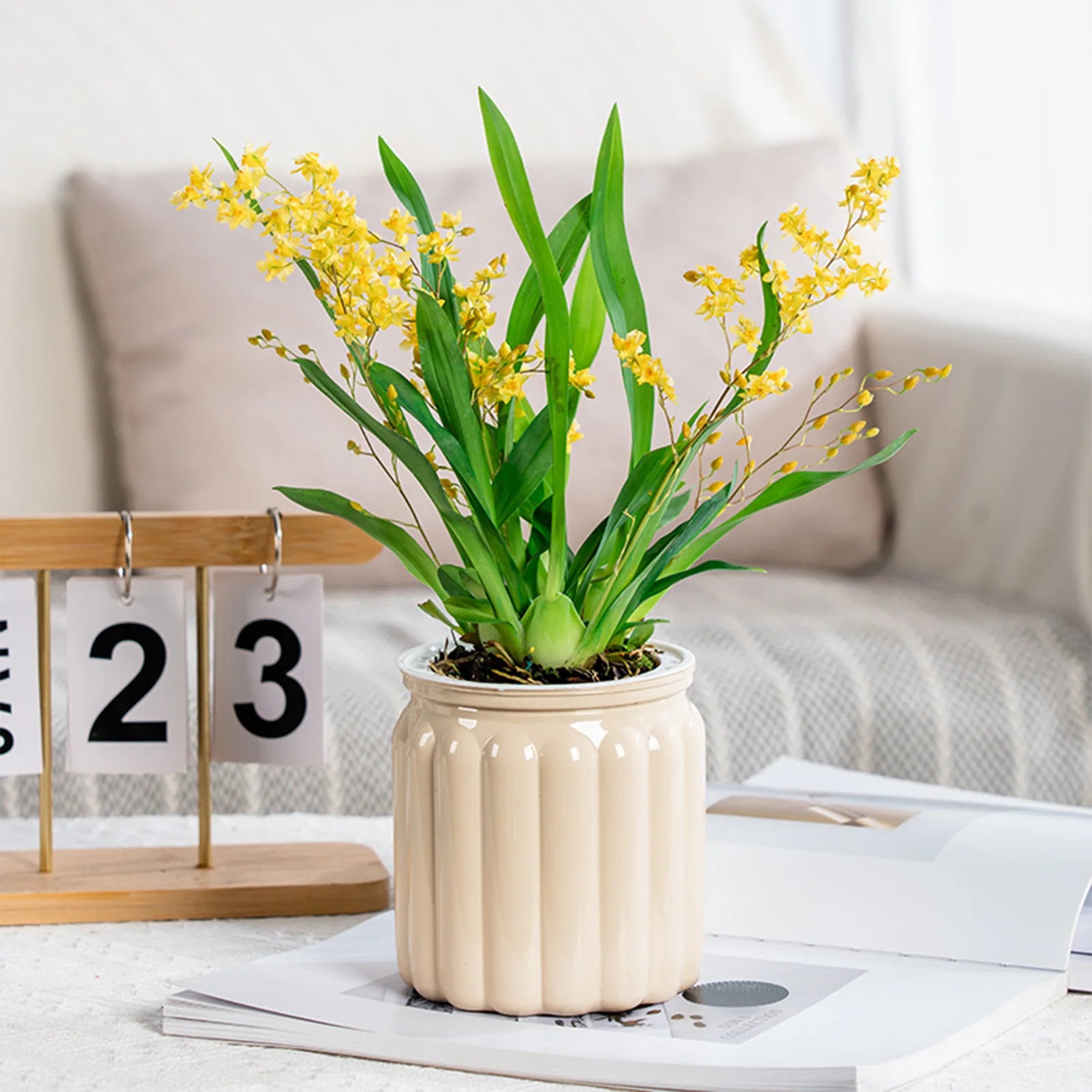 Modern Self-Watering Planters Indoor Translucent Stylish Minimalist Flower Container Home Decor Office Desk Plants Vases Gift